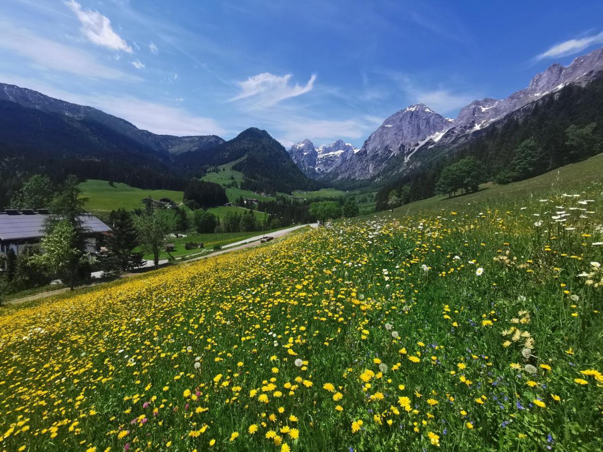 Ferienwohnung Saunahaus Annaberg im Lammertal Buitenkant foto